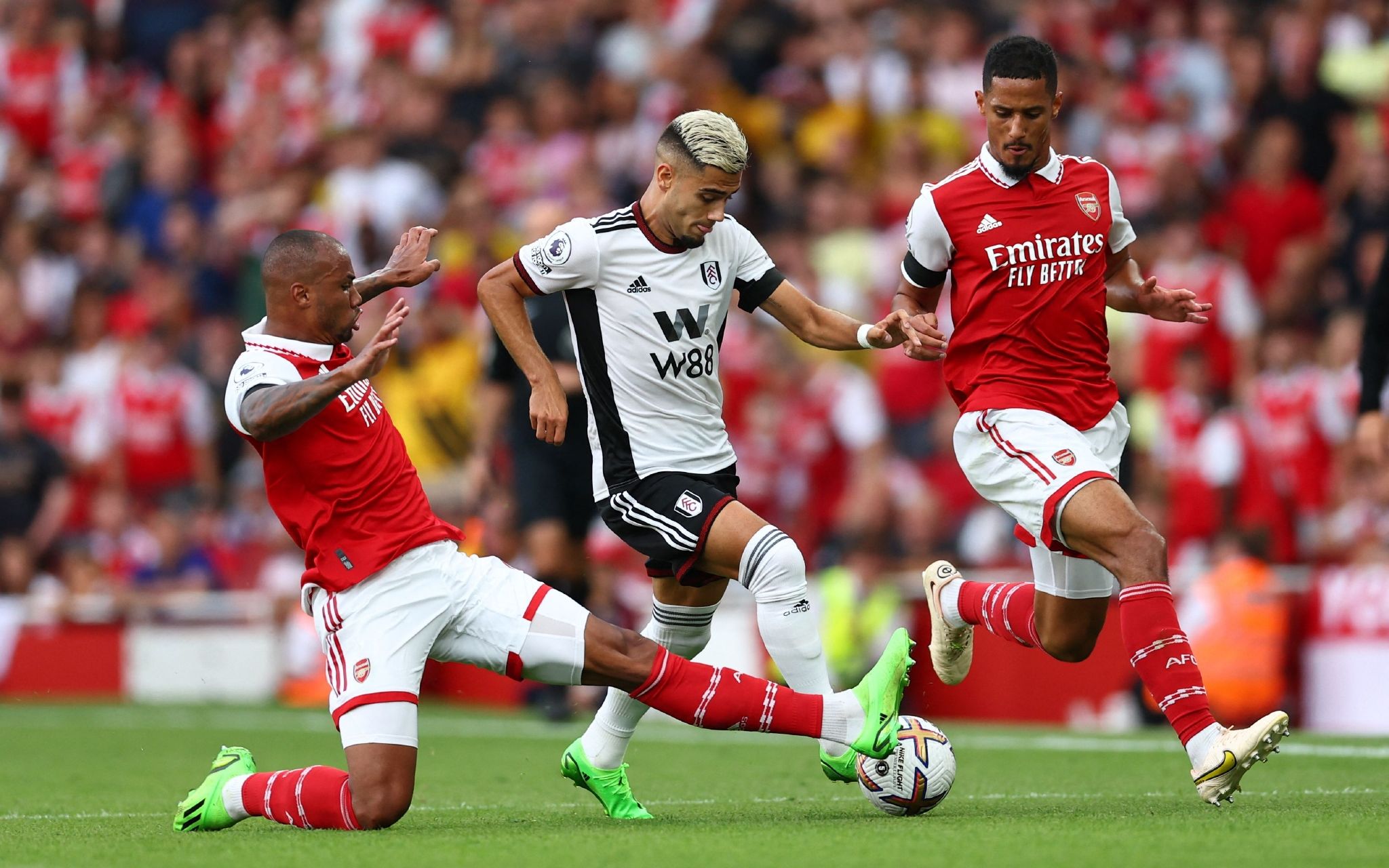 这一纪录不 这一纪录不